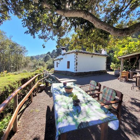Finca Llano De La Cebolla Icod De Los Vinos Eksteriør bilde