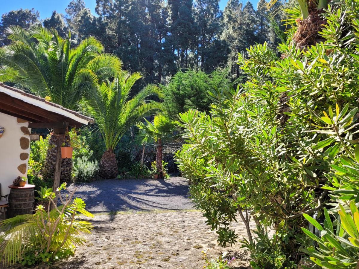 Finca Llano De La Cebolla Icod De Los Vinos Eksteriør bilde