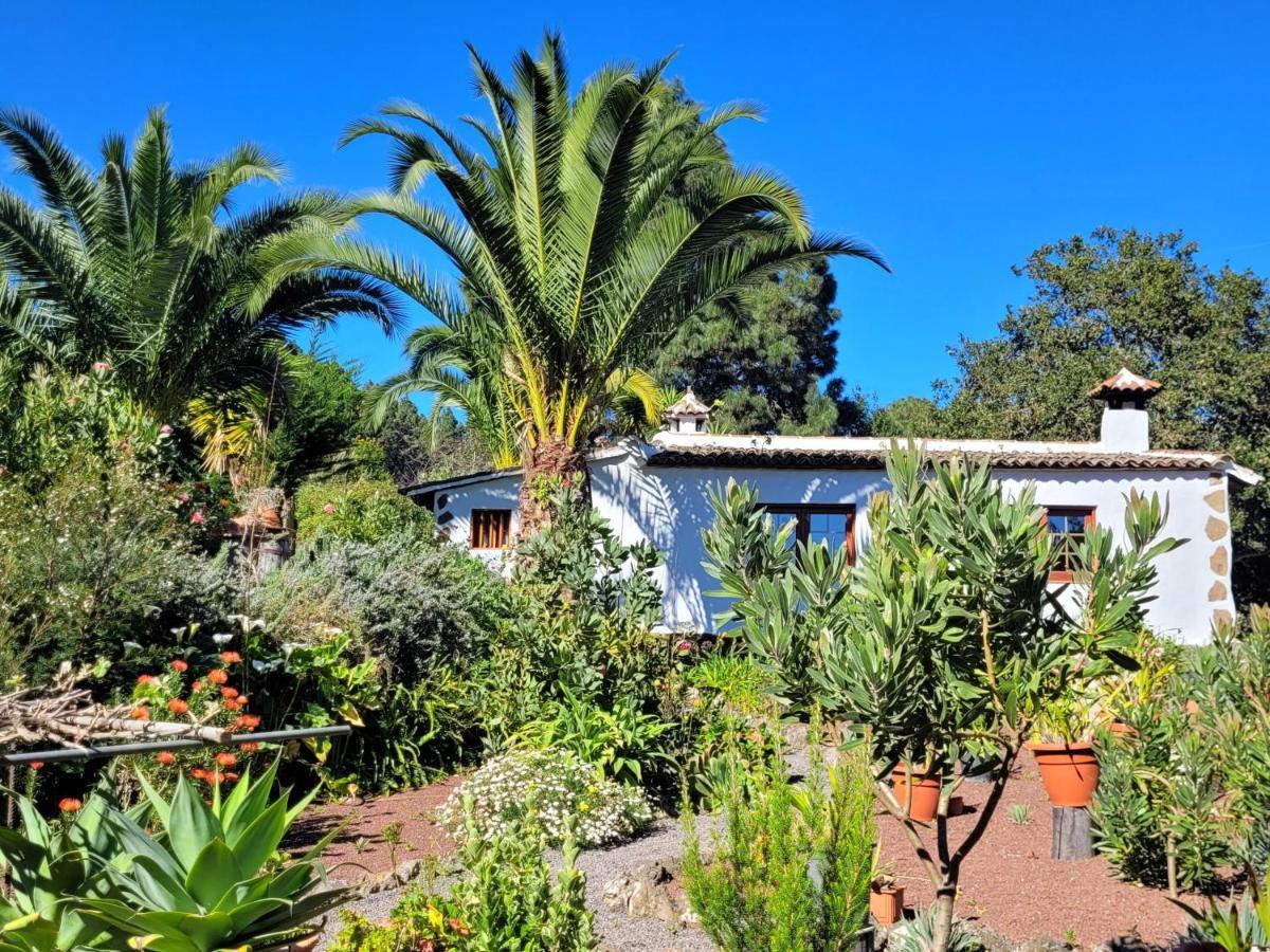 Finca Llano De La Cebolla Icod De Los Vinos Eksteriør bilde