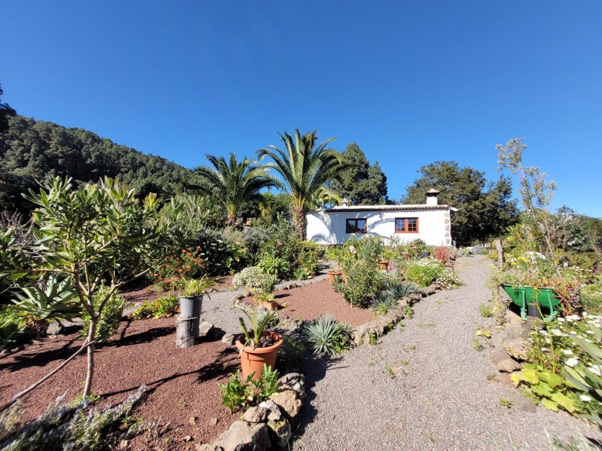 Finca Llano De La Cebolla Icod De Los Vinos Eksteriør bilde
