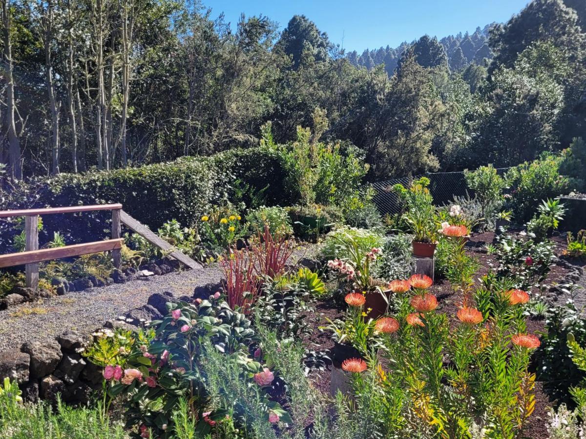 Finca Llano De La Cebolla Icod De Los Vinos Eksteriør bilde