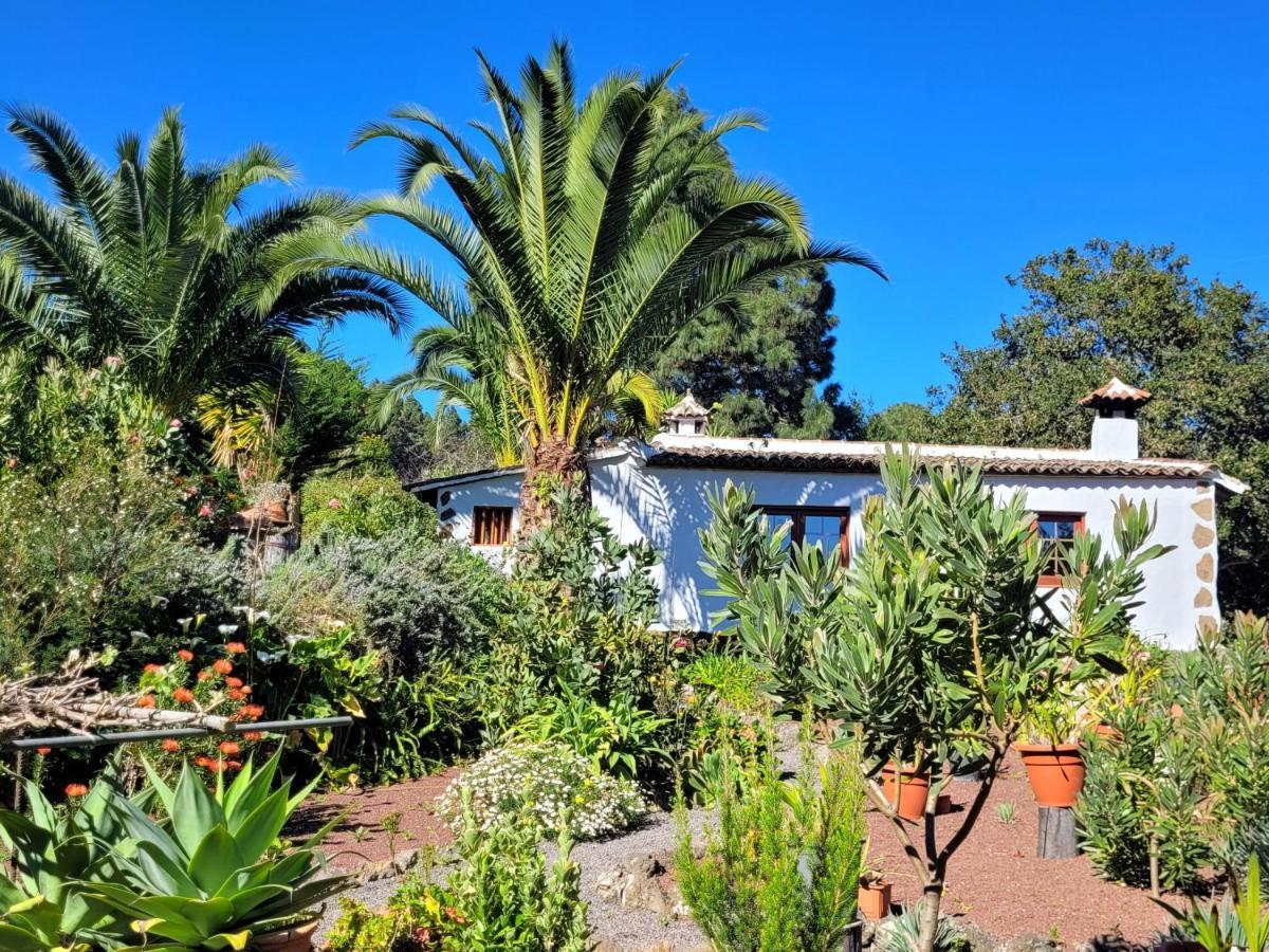 Finca Llano De La Cebolla Icod De Los Vinos Eksteriør bilde