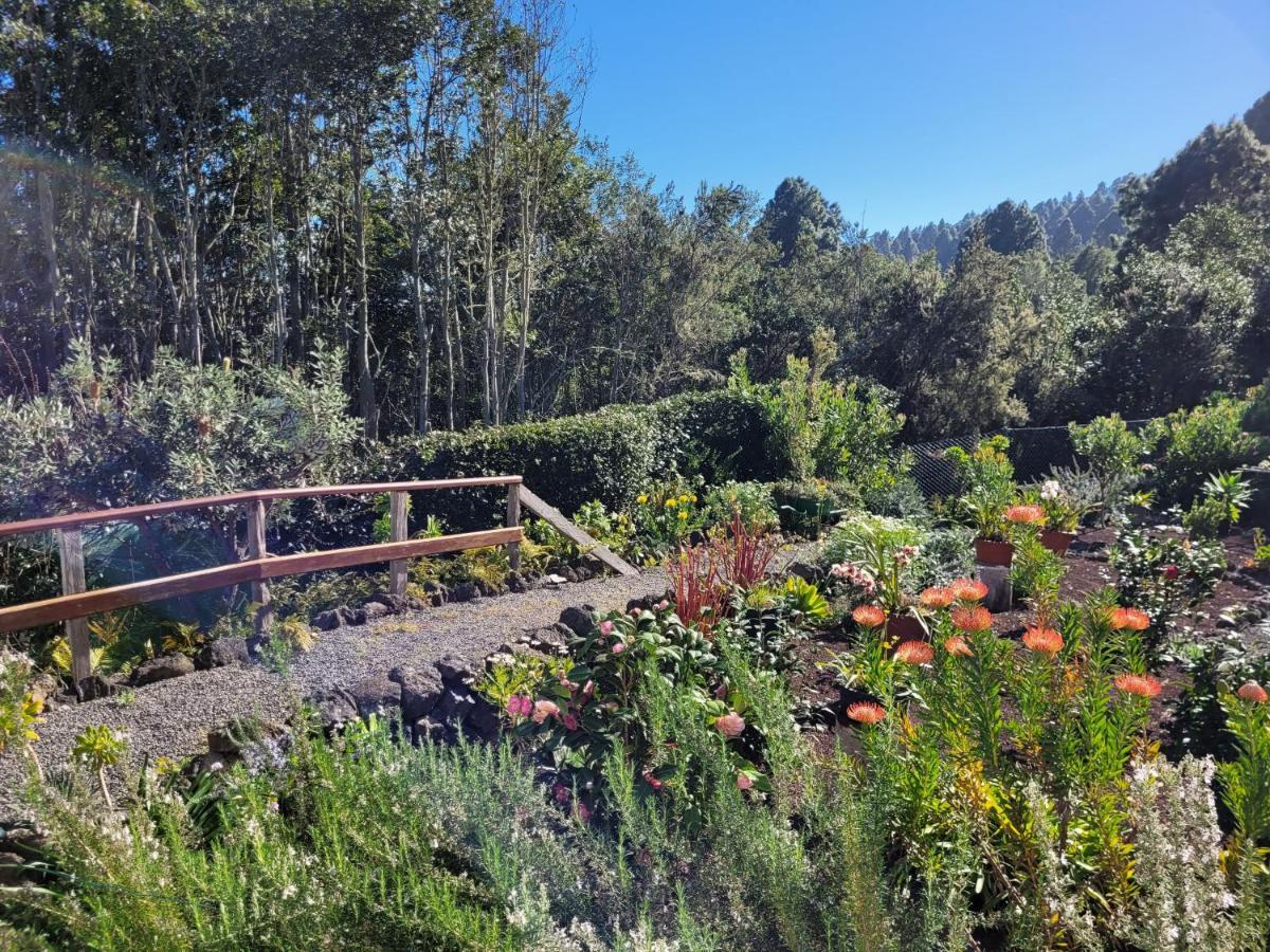 Finca Llano De La Cebolla Icod De Los Vinos Eksteriør bilde