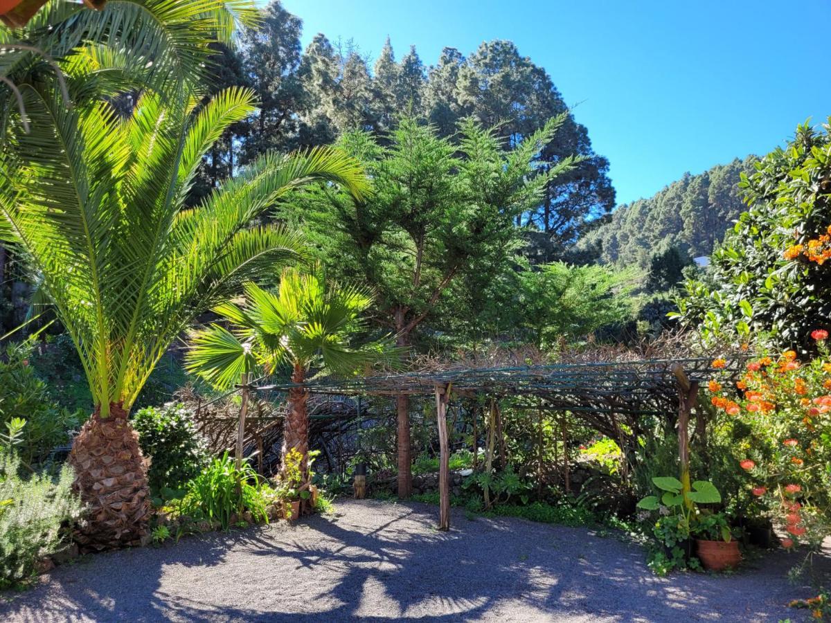Finca Llano De La Cebolla Icod De Los Vinos Eksteriør bilde